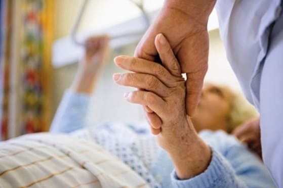 нервова система